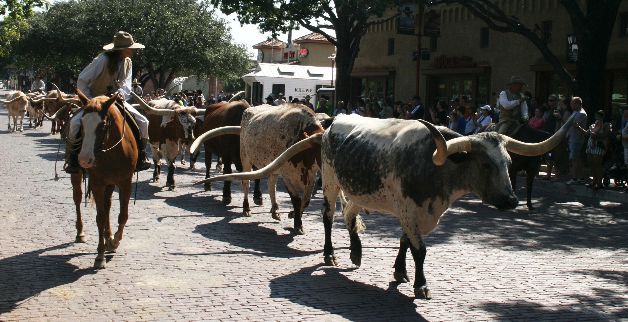 2024FWTX0918059