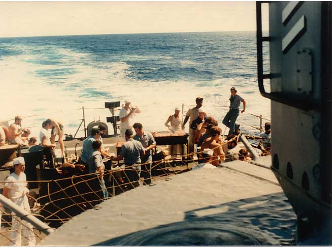 ao fantail 2