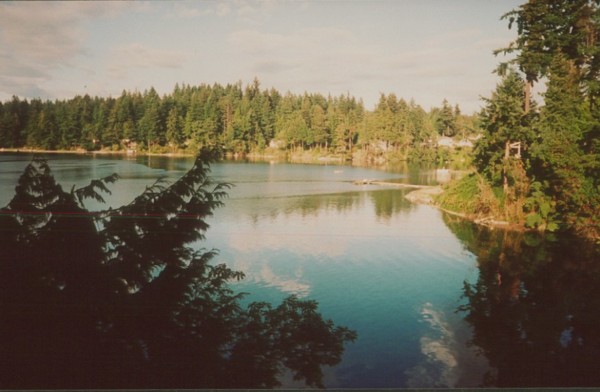 view_from_oyster